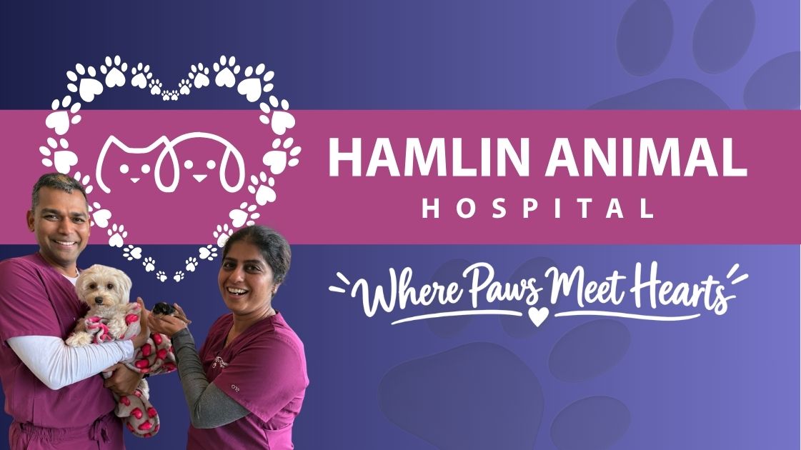 Hamlin Animal Hospital