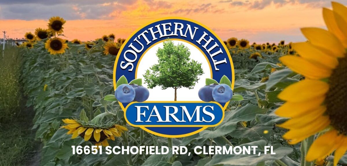 Southern Hill Farms