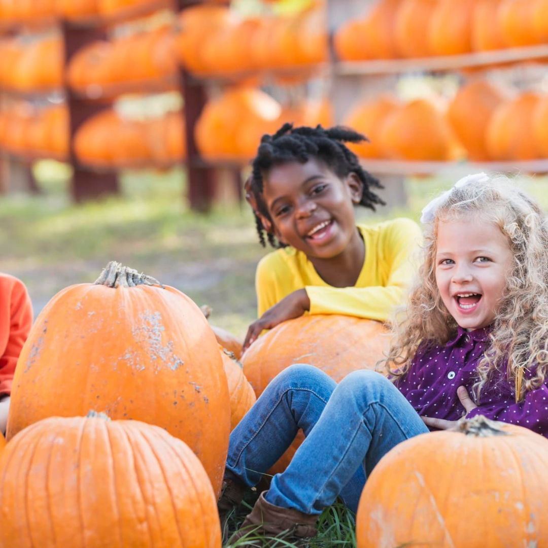 children playing in the Hamlin pumpkin patch 