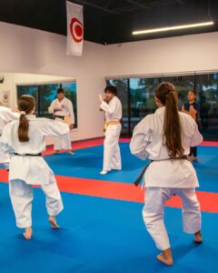 Karate Horizon West