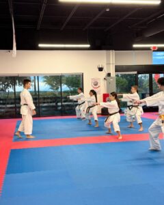 Shisa Karate Dojo Horizon West