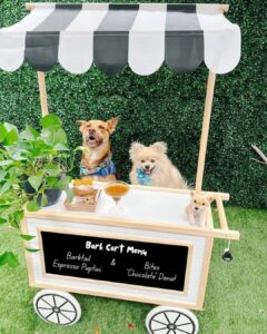 The Pedaling Pups Horizon West Market