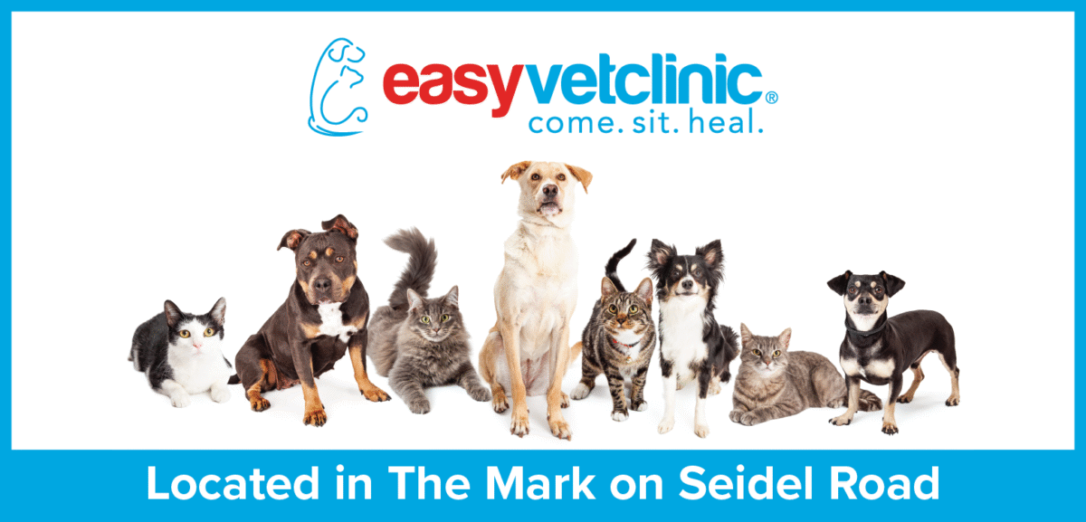 easyvet Winter Garden