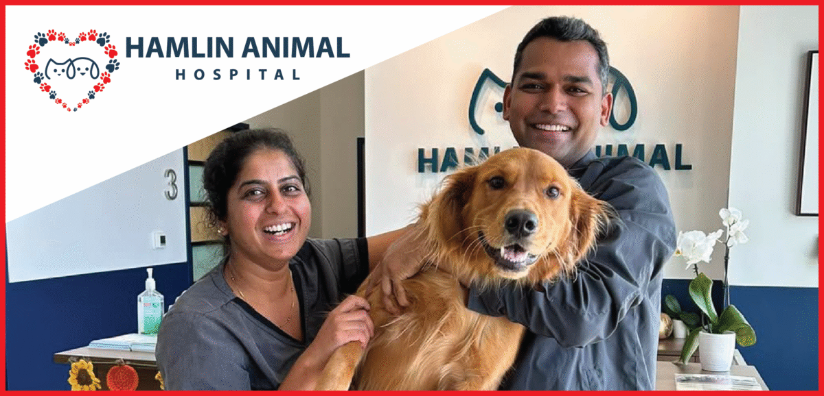 Hamlin Animal Hospital