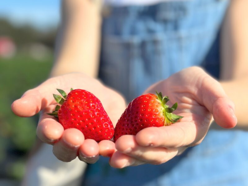 Unique Day Trips from Central Florida: Explore Hidden Gems! 