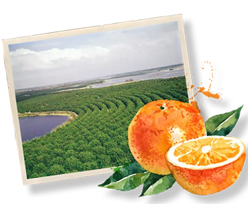 Do You Know the History of Your Chosen Hometown?