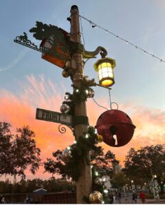 Winter Activities in Central Florida