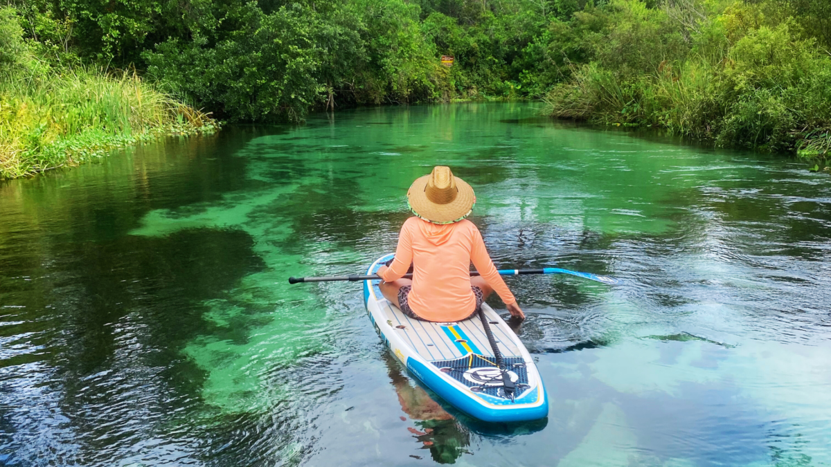 Best Natural Springs Near Central Florida for the Ultimate Day Trip