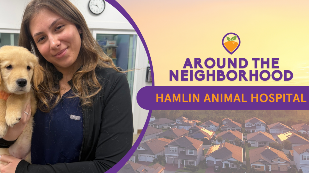 Caring for Pets Across Horizon West at Hamlin Animal Hospital