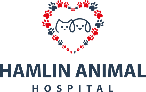 Hamlin Animal Hospital – Veterinarian and Veterinary Technician